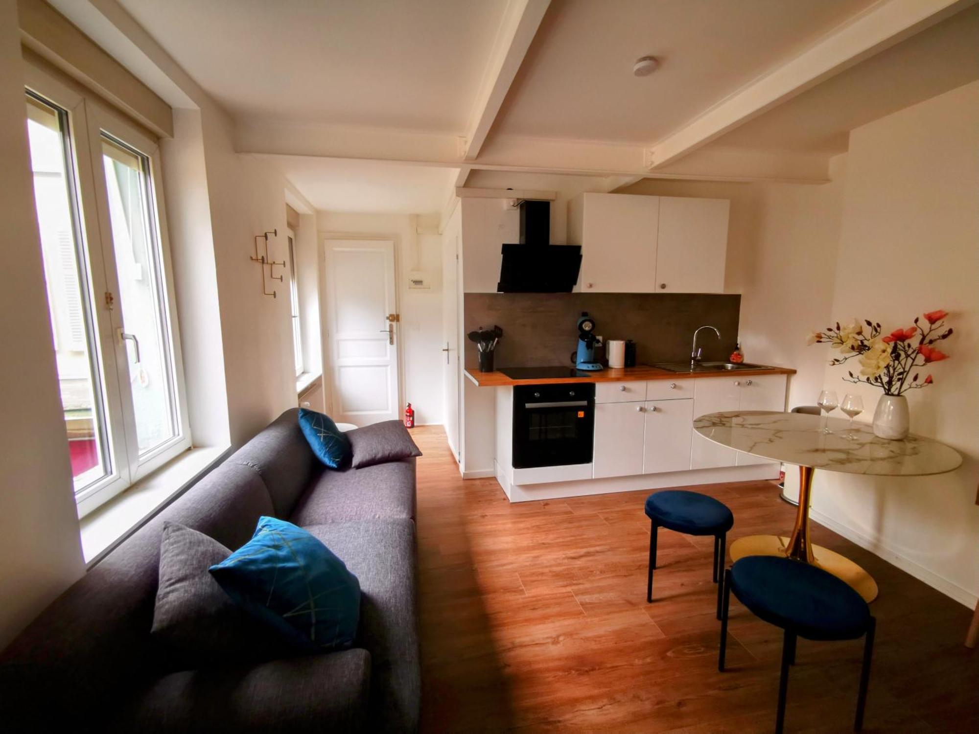 Deluxe Studio Tout Equipe - Hyper Centre Historique Mulhouse Ngoại thất bức ảnh