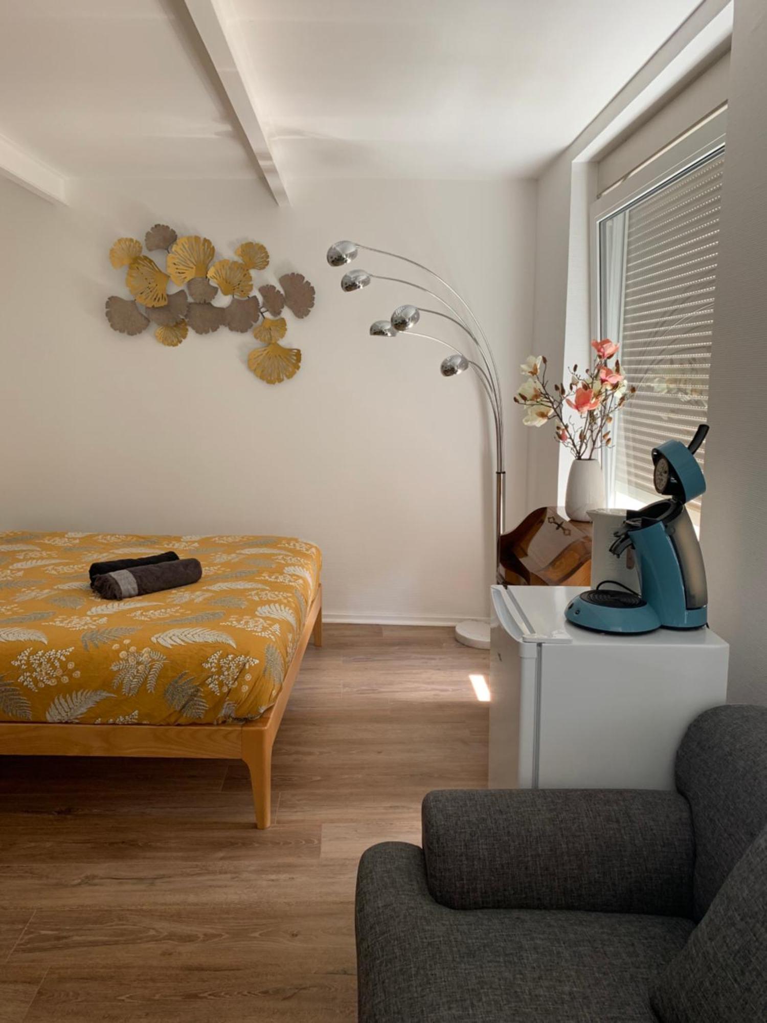 Deluxe Studio Tout Equipe - Hyper Centre Historique Mulhouse Ngoại thất bức ảnh